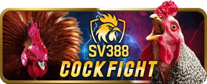 Khuyến mãi và ưu đãi tại TA88PRO WIN